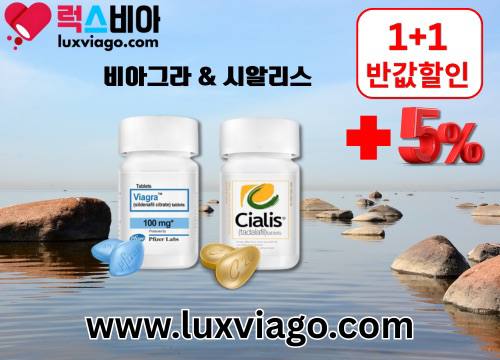 7럭스비아httpswww.luxviago.com.jpg